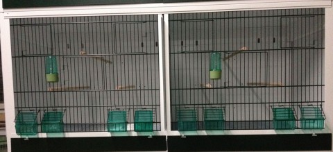 Cage-Batterie- d'élevage d`Oiseaux 120,50,50cm 2-BOX