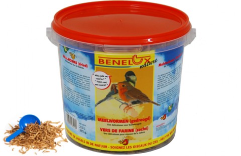 Benelux- Vers de Farine seau de 2,5 L