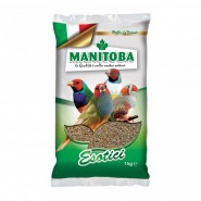 Manitoba- Graines exotiques complet 1 kg