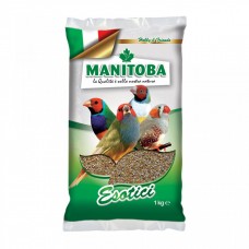 Manitoba- Graines exotiques complet 1 kg