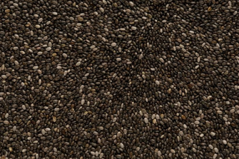 Manitoba graine de Chia sac de graines 1kg - Animosfery