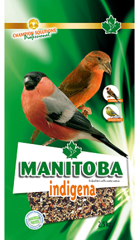 Manitoba- Graines Indigena 2,5 Kg