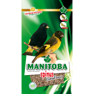 Manitoba- Graines de Tarins Noir 2.5Kg