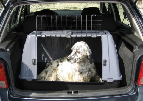 Cage de transport grand chien - Cage chien voiture