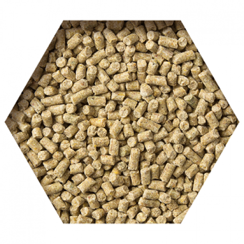 Beyers- Goldcorn Koopman 2,5kg