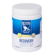 Beyers Plus- Recovery Plus 600gr