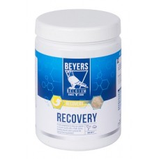 Beyers Plus- Recovery Plus 600gr