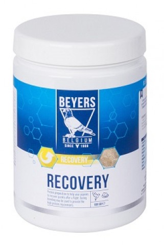 Beyers Plus- Recovery Plus 600gr